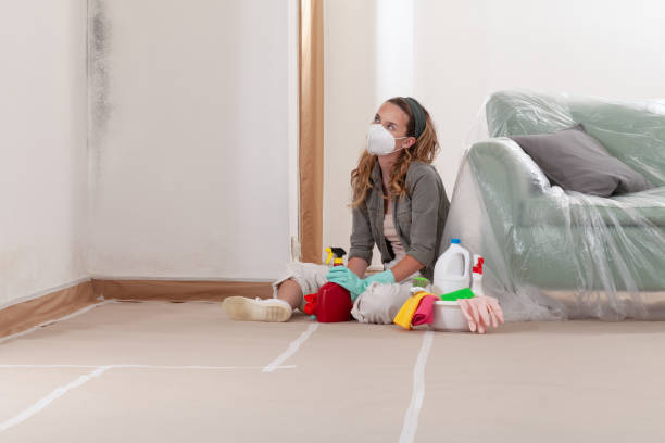 Reliable Mold Remediation contractor in Greenville, NC by WQB Mold Removal